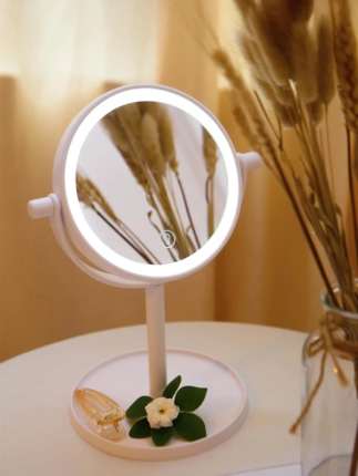 Makeup Mirror with Light
